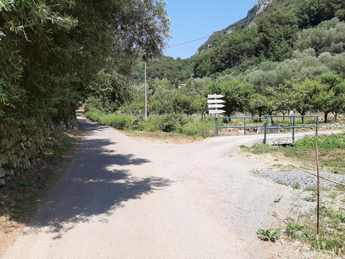 Agriturismo Alveare Finale Ligure Ngoại thất bức ảnh